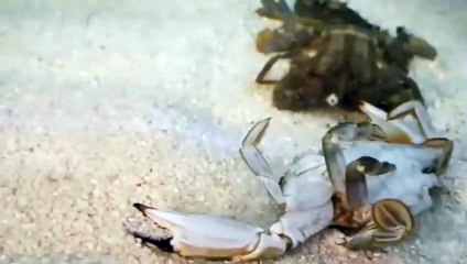 보령출장안마 -후불100%ョØ7Øx7575vØØ62｛카톡QR091｝보령전지역출장마사지샵보령출장lj안마lj보령출장안마보령마사지황형§∥∏