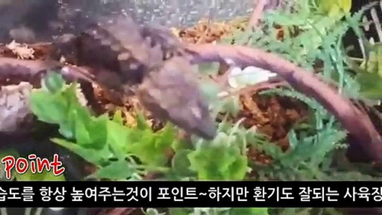 원주출장안마 -후불100%ョØ1Øa2671k8135｛카톡KC456}원주전지역출장마사지샵원주출장lj안마lj원주출장안마원주마사지황형ЧШЩ