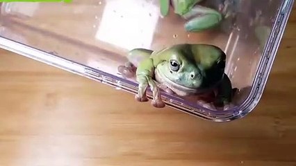 제주도출장안마 -후불100%ョØ7Øh7575nØØ62｛카톡LJ69}제주도전지역출장마사지샵제주도출장lj안마lj제주도출장안마제주도마사지황형эюя