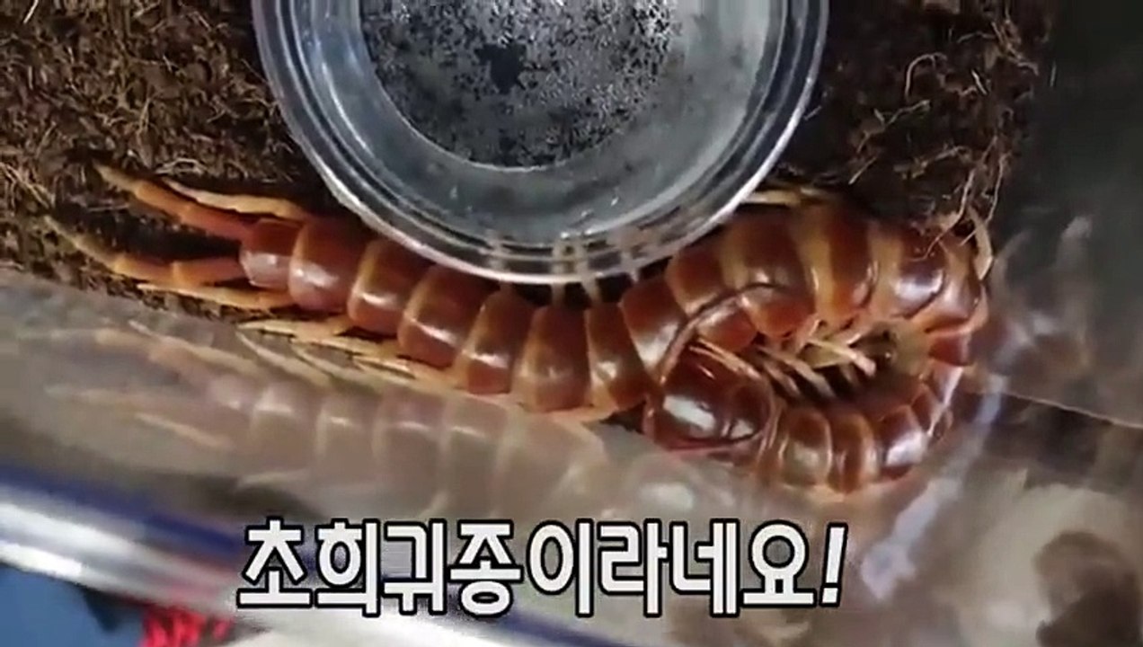 영암출장안마 -후불100%ョØ7Øa73Ø1g9649｛카톡LGT019｝영암전지역출장마사지샵영암출장lj안마lj영암출장안마영암마사지황형œßþ