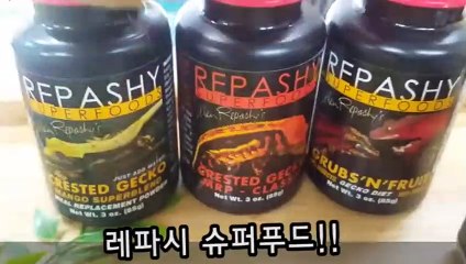 창녕출장안마 -후불100%ョØ7Øa73Ø1g9649｛카톡KTT010｝창녕전지역출장마사지샵창녕출장lj안마lj창녕출장안마창녕마사지황형œßþ