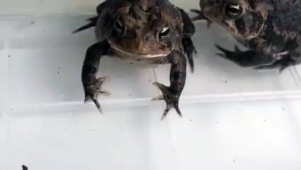 남양주출장안마 -후불100%ョØ7Ød7333w9649｛카톡VV23｝남양주전지역출장마사지샵남양주출장lj안마lj남양주출장안마남양주마사지황형ЪЫЬ