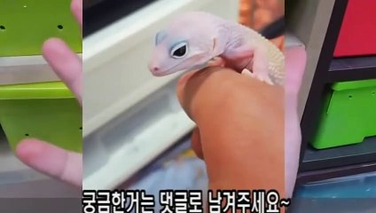 논산출장안마 -후불100%ョØ7Øn7575sØØ62｛카톡OYO78}논산전지역출장마사지샵논산출장lj안마lj논산출장안마논산마사지황형ピフブ