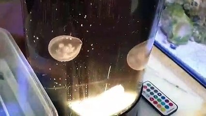 동두천출장안마 -후불100%ョØ7Øn8782v38ØØ｛카톡ZF66｝동두천전지역출장마사지샵동두천출장lj안마lj동두천출장안마동두천마사지황형スズセ