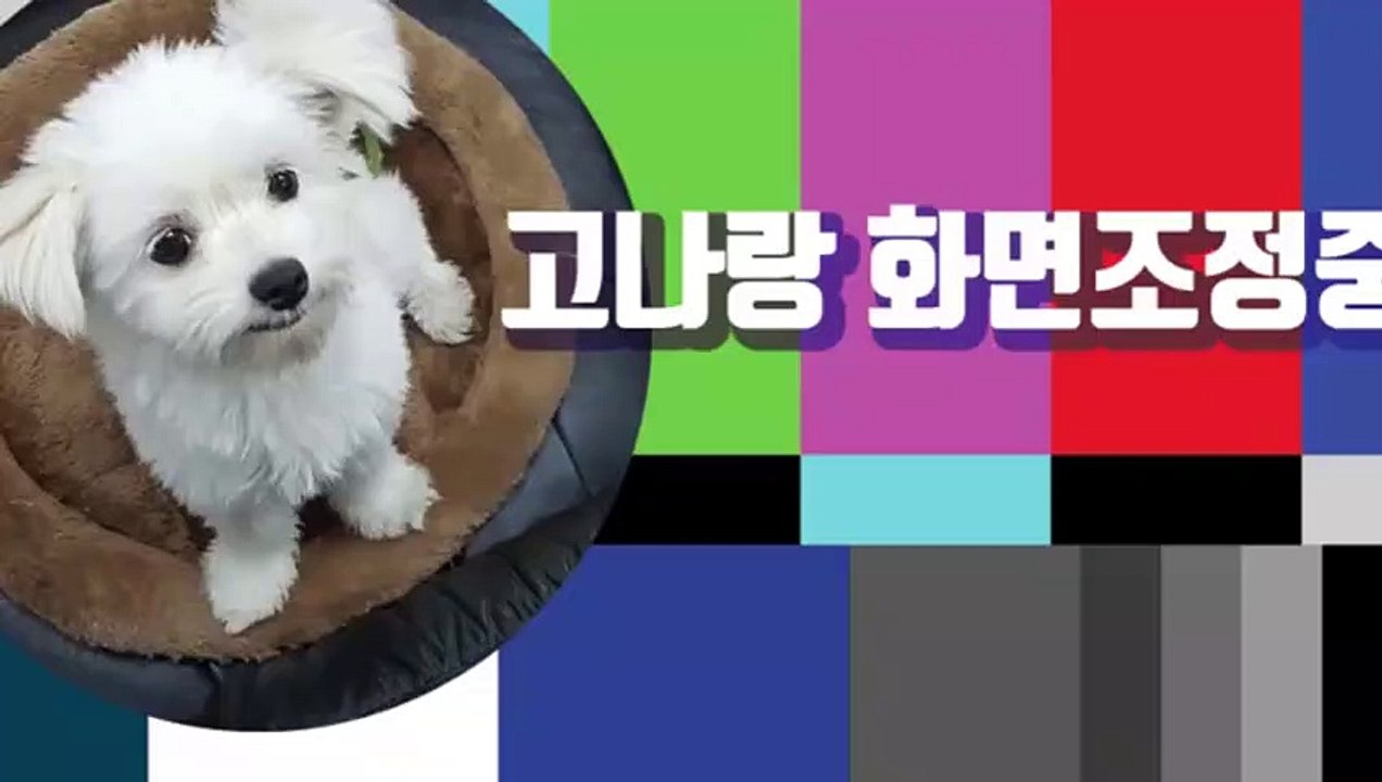 순천출장안마 -후불100%ョØ7Øg7733w9649｛카톡XPF889｝순천전지역출장마사지샵순천출장lj안마lj순천출장안마순천마사지황형※≒℃