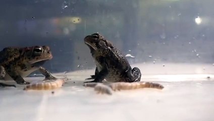 제주도출장안마 -후불100%ョ Ø7Øq5222w78Ø2｛카톡11982｝제주도전지역출장마사지샵제주도출장lj안마lj제주도출장안마제주도마사지황형§∥∏