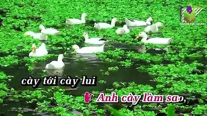 Đi Cày (Karaoke) - Bích Thảo, Hoài Linh