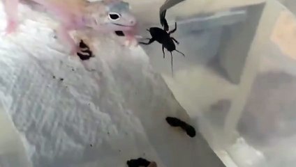 영통출장안마 -후불100%ョØ7Øt7575vØØ69｛카톡GD825｝영통전지역출장마사지샵영통출장lj안마lj영통출장안마영통마사지황형сту