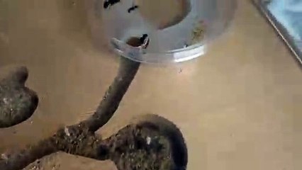 공주출장안마 -후불100%ョØ7Øa73Ø1g9649｛카톡KTT010｝공주전지역출장마사지샵공주출장lj안마lj공주출장안마공주마사지황형→☞≪