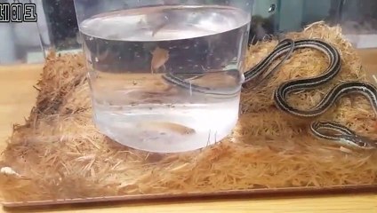 서구출장안마 -후불100%ョØ7Øe7575gØØ54｛카톡DK654}서구전지역출장마사지샵서구출장lj안마lj서구출장안마서구마사지황형★●◎