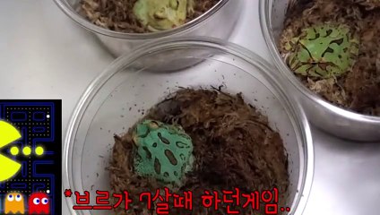 광산출장안마 -후불100%ョØ7Øg7733w9649｛카톡XPF889｝광산전지역출장마사지샵광산출장lj안마lj광산출장안마광산마사지황형Å∑