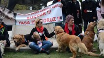 Vahşete karşılık onlarca vatandaş köpeğiyle sokağa döküldü