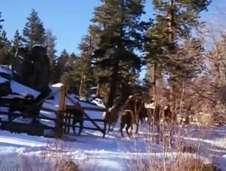 Bonanza S10E29 The Fence