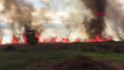 Bursa İznik'te Sazlık Yangını