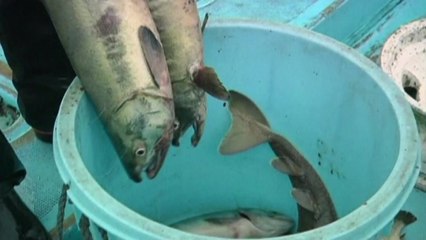 "후쿠시마산 수입 계속 요구"...日 어이없는 주장 왜? / YTN