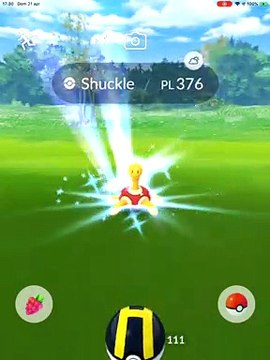 Shuckle iv 100 max CP376 L35 MAX