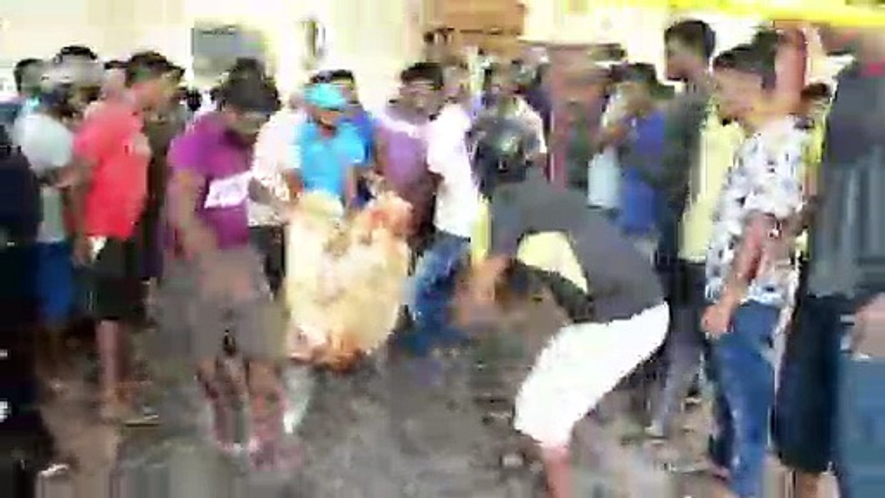 Mehr als 200 Tote bei Anschlagsserie in Sri Lanka