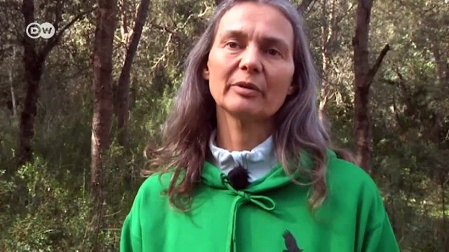 Black vultures in danger in Spain | DW Documentary