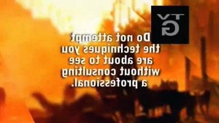 Dog Whisperer S07E10 Stella & Nala and Phoebe (No Man's Land)