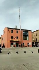 Chute d'un arbre vs Spectateurs chanceux