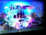 CADRE TABLEAU AQUARIUM LUMINEUX 40 CM