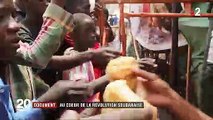 DOCUMENT FRANCE 2. Soudan : plongée au cœur de la révolution qui a mené à la destitution d'Omar el-Béchir