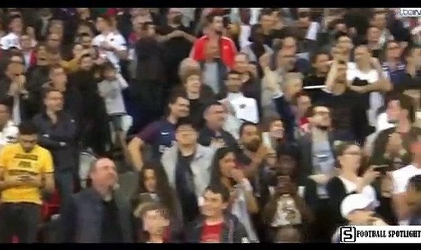 Paris Saint Germain vs Monaco 3-1 All Goals Highlights 21/04/2019