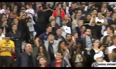 Paris Saint Germain vs Monaco 3-1 All Goals Highlights 21/04/2019