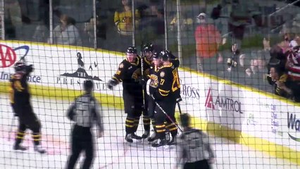 AHL Charlotte Checkers 2 at Providence Bruins 4