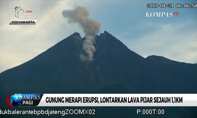 Kembali Erupsi, Gunung Merapi Lontarkan Lava Pijar Sejauh 1,1 Km