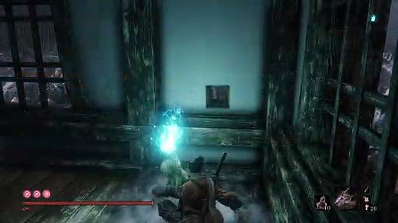 Sekiro Shadows Die Twice - too many items