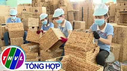 THVL | Chuyên đề kinh tế: PCI Đồng bằng sông Cửu Long - Nhìn từ các tỉnh dẫn đầu