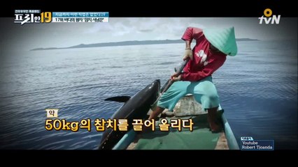 바다의 왕자 '참치 사냥꾼' [지금까지 이런 직업은 없었다 19]