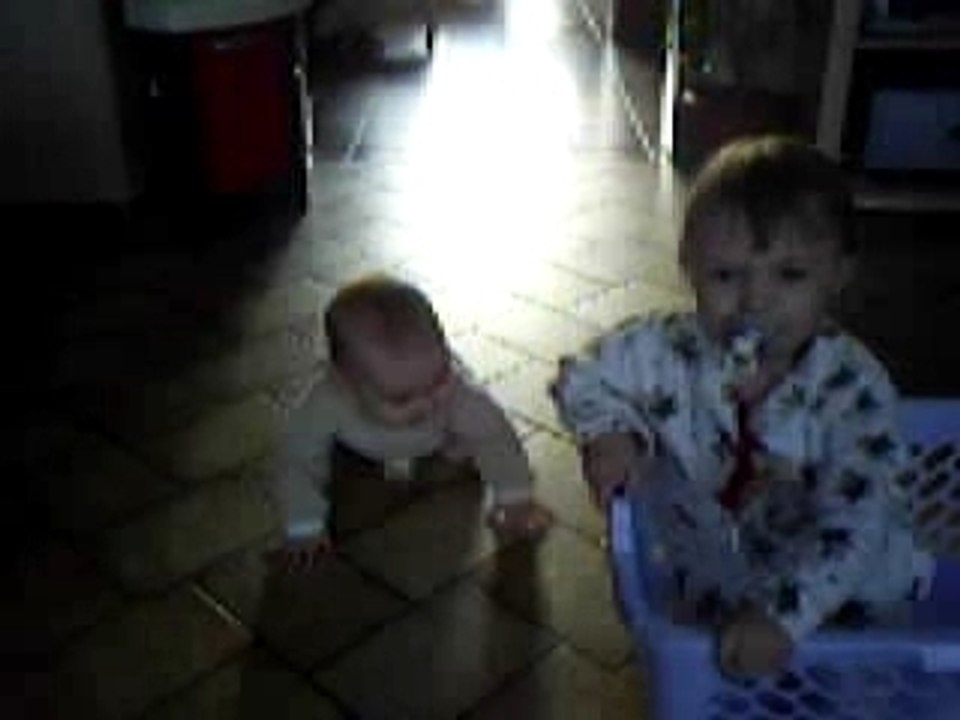 Photo 008