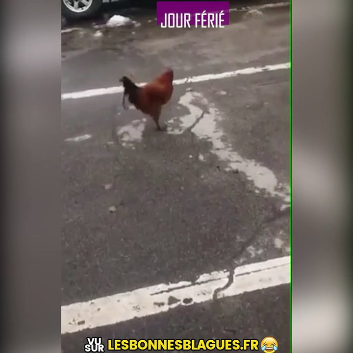 Jour Férié