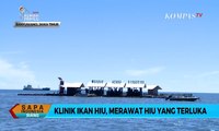 Mengintip Klinik Ikan Hiu di Banyuwangi