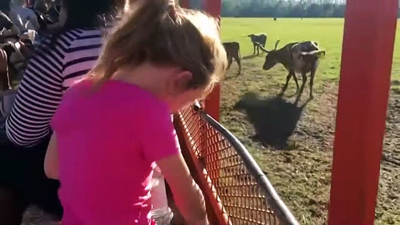 KIDS AND ANIMALS ★ Animals Never Fail To Make Us Laugh