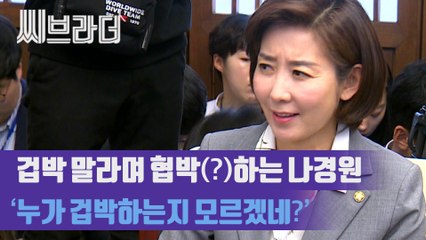 겁박하지 말라며 ‘20대 국회 전체 걸고’ 협박(?)하는 나경원 원내대표 [C브라더]