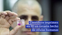 Científicos imprimen en 3D un corazón hecho de células humanas