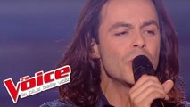 Daniel Levi – L'envie d'aimer | Nuno Resende | The Voice France 2013 | Prime 3