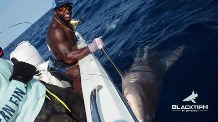 Monster Goliath Groupers with Linebacker