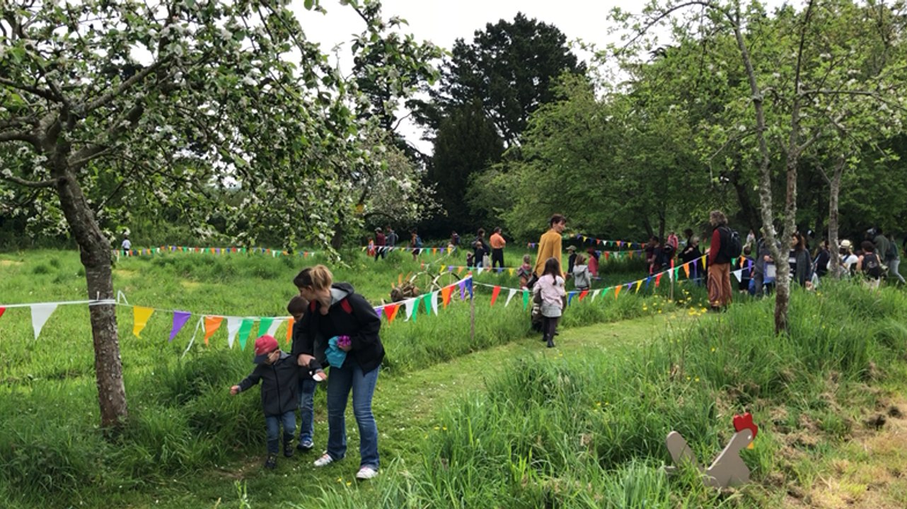Grande chasse aux oeufs sur l’île Tristan