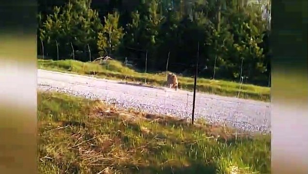 Random Acts of Kindness - Faith in Humanity Restored #7