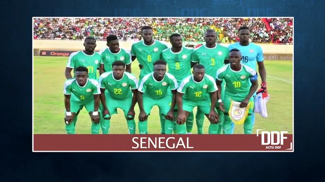 ACTU DDF | CAN 2019 : Les poules de la Coupe d'Afrique des nations