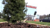 AccuWeather Celebrates Arbor Day