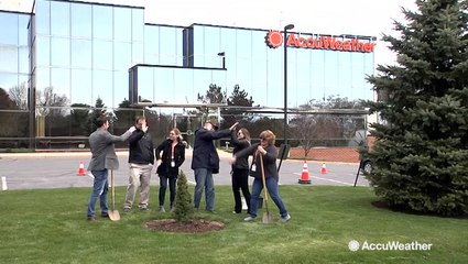 AccuWeather plants a tree in celebration of Arbor Day