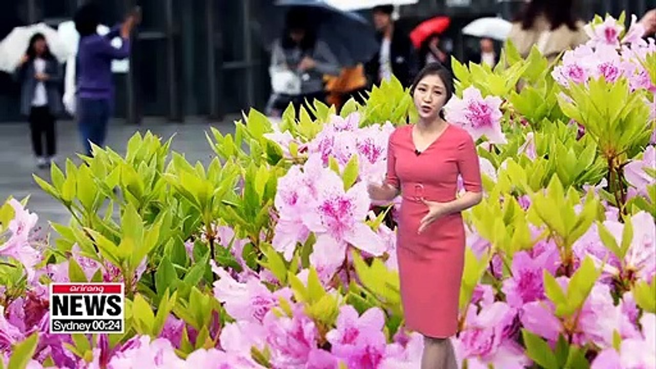 Tomorrow's rain cools temperatues