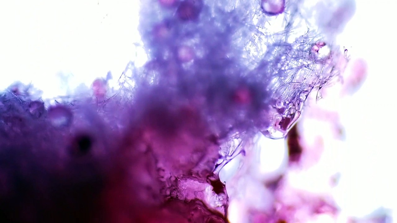 Cotton Candy Up Close and Dissolving