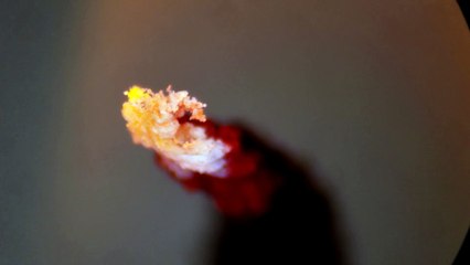 Candle Burning - Fire and Wax Wicking Under the Microscope