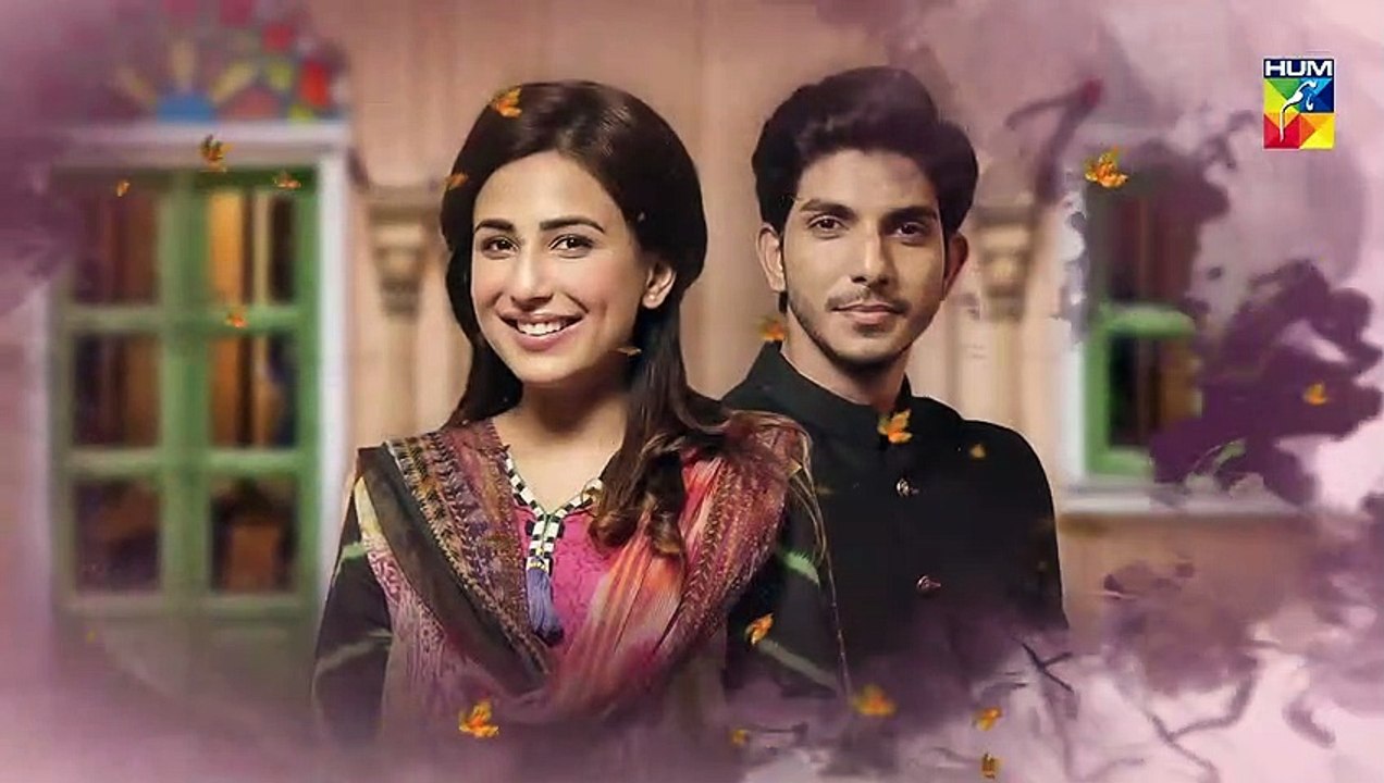 Mujhay Tum Pasand Ho E 4 Promo Choti Choti Batain HUM TV Drama - 21st April 2019